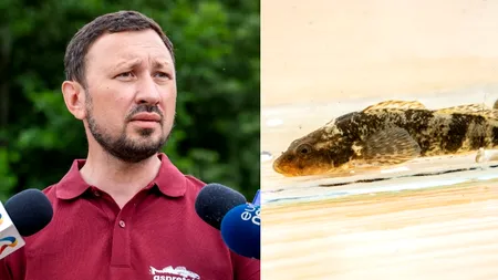 Ministrul Mediului, despre cel mai rar pește de apă dulce, regăsit doar în România: 