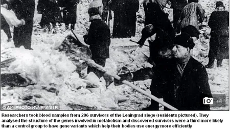 1,5 milioane au murit, 1,5 milioane au supraviețuit în timpul asediului Leningradului. Descoperirea incredibilă făcută azi de cercetători după ce au recoltat mostre de la 206 de ruși supraviețuitori