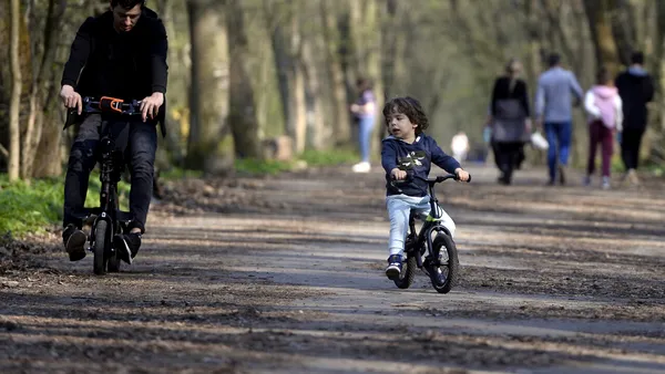 Romsilva contrazice raportul Corpului de Control al Ministerului Mediului: „Drumul din pădurea Băneasa figurează din anii ’70 ca drum forestier”