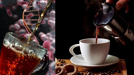 Ce se întâmplă în organismul tău dacă bei cafea sau ceai FIERBINTE. Ce arată ultimul studiu al cercetătorilor