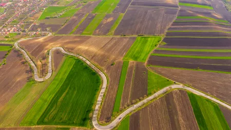 Comuna din România, unde un teren forestier se vinde cu 3 €/m², acum, în martie 2026. Ce suprafață are: „Oportunitate rară”