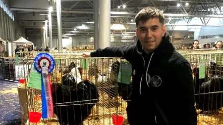 Cele mai frumoase găini din Europa trăiesc în România. Cine sunt cei doi români care le cresc