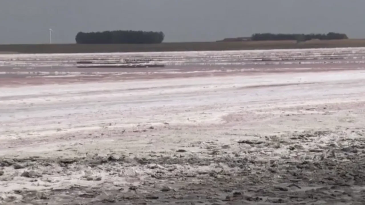 Cel mai sărat lac din România a secat. Movila Miresii s-a transformat într-un câmp de cristale