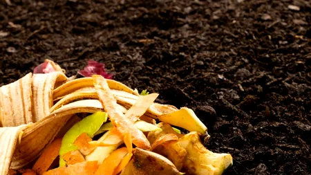 SALUBRIZARE Sector 5 încurajează compostarea: Cum transformi deșeurile biodegradabile în îngrășământ natural (P)