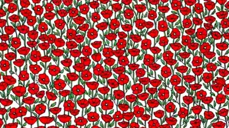 Iluzie optică incredibilă pentru GENII: Găsiți crabul din imagine, în doar 5 secunde!