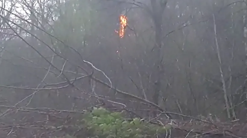 Pericol de incendii de vegetație, în mai multe zone din Grecia. Avertismentul MAE pentru români