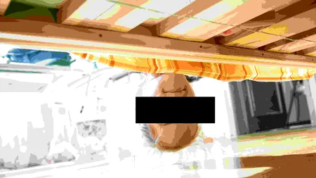 O profesoară de istorie a fost concediată după ce s-a ascuns sub patul unei eleve de care ar fi fost „obsedată