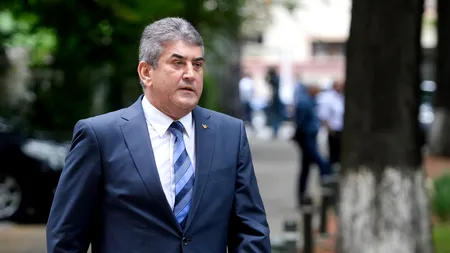 Gabriel Oprea: Imaginea României este afectată pentru că are un premier INCULPAT