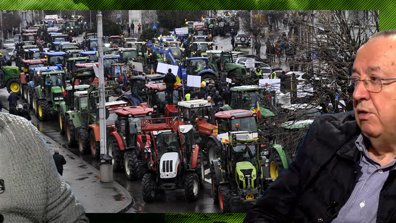 Ion Cristoiu: „A fost pornită o campanie pentru LICHIDAREA agriculturii. Asta înseamnă, în primul rând, tot mai multe constrângeri”