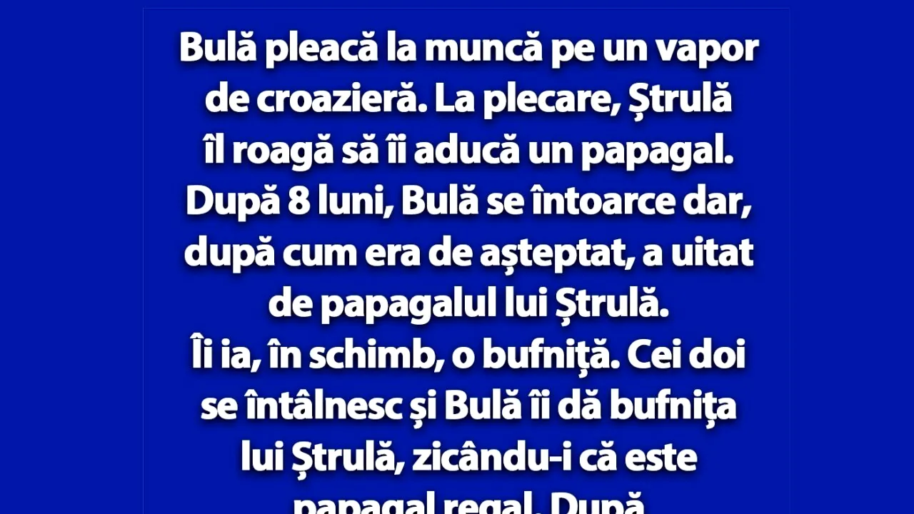 BANC | Bulă, Ștrulă și papagalul CIUDAT