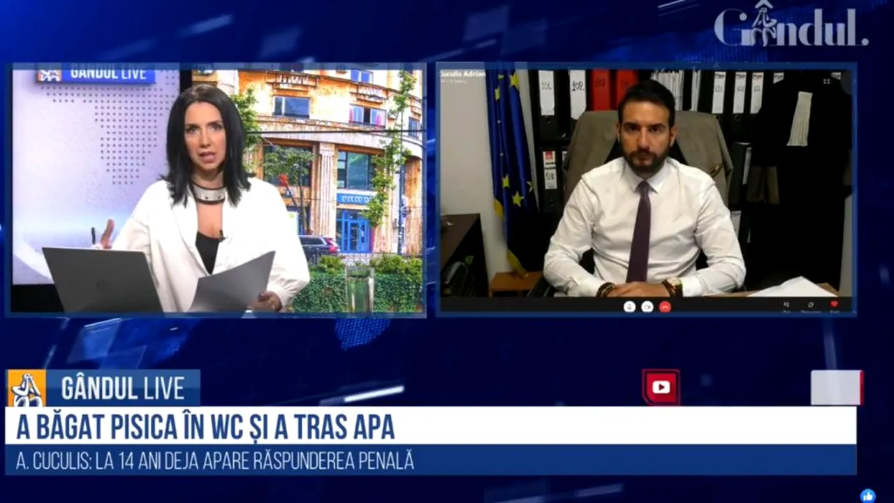 GÂNDUL LIVE. Avocatul Adrian Cuculis, despre cazul adolescenților care au băgat o pisică în toaletă: „Ar trebui să răspundă penal!”