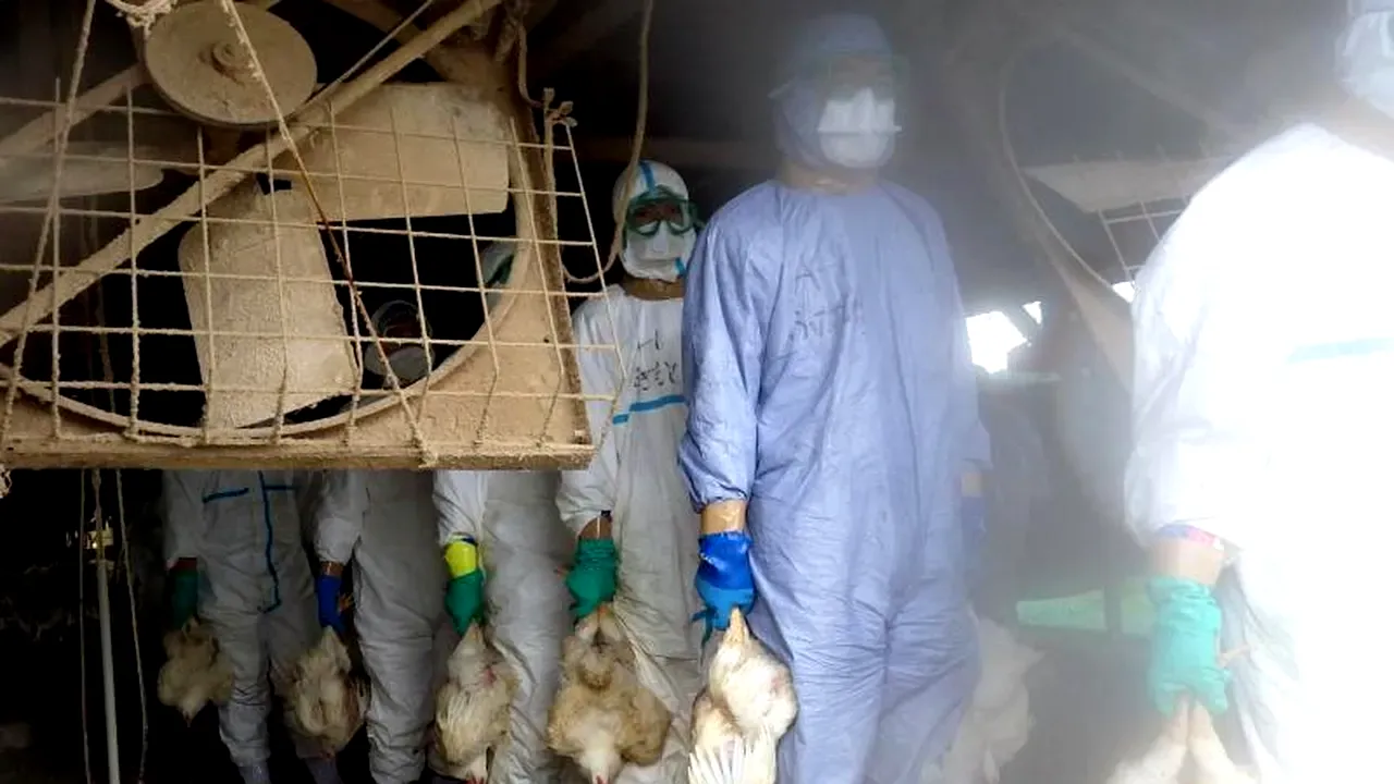 UE lansează planul „pre-pandemic