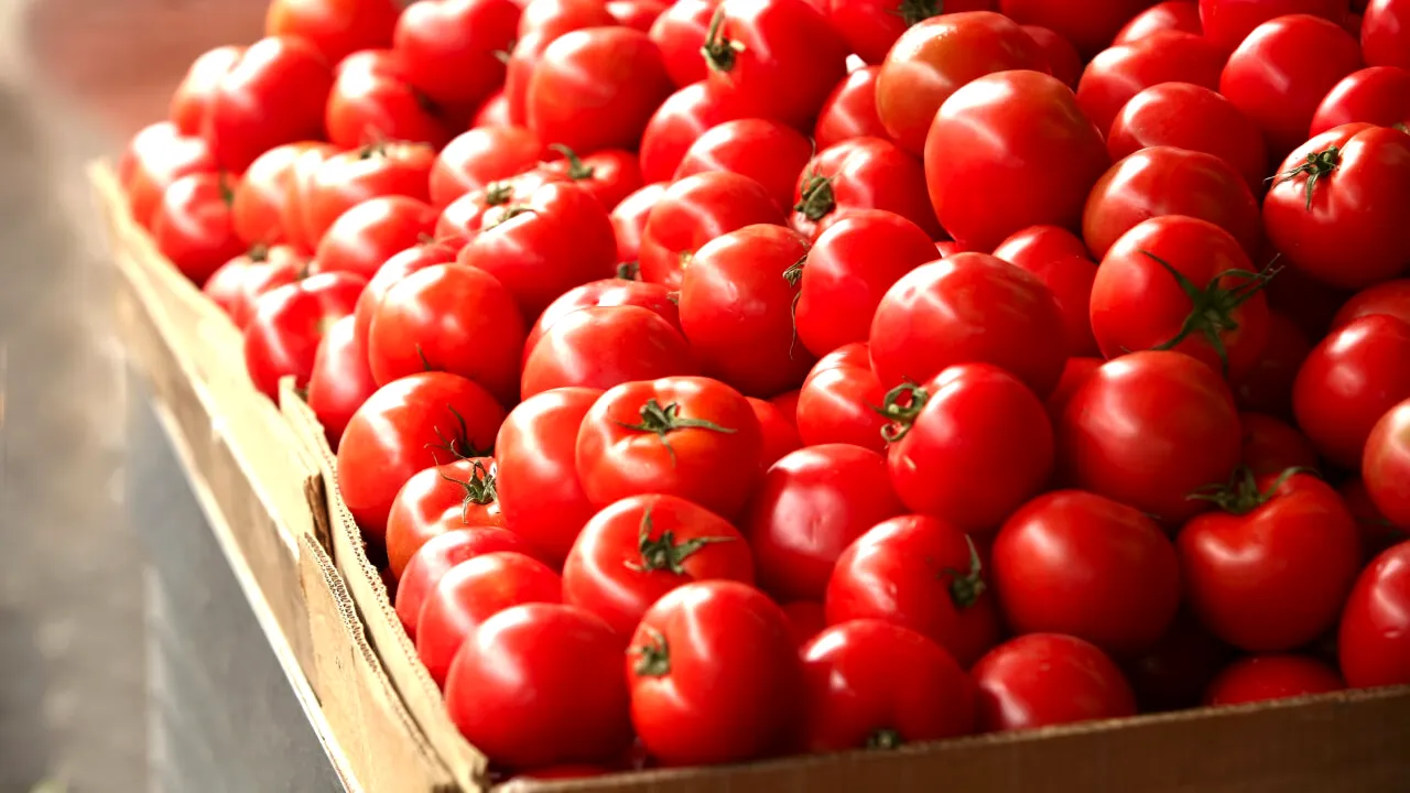 Un renumit supermarket va vinde exclusiv ROȘII românești. 100 de producători locali vor asigura marfa