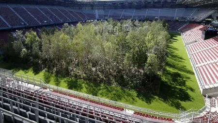 Motivul pentru care un stadion de la EURO 2008, din Austria, a fost transformat într-o pădure
