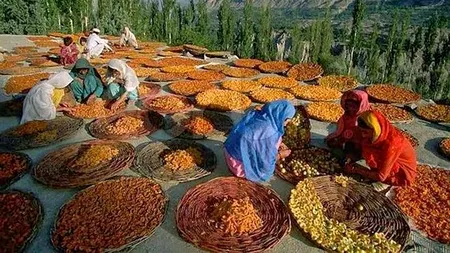 Locul unde locuitorii trăiesc 140 de ani fără să se îmbolnăvească