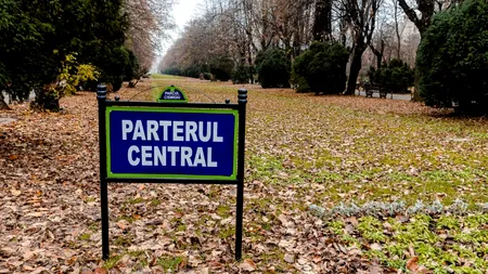 Gabriela Firea, despre bobițele periculoase din Cișmigiu: „Este alarmant faptul că așa-zișii specialiști nu sunt în stare să asigure protecție”