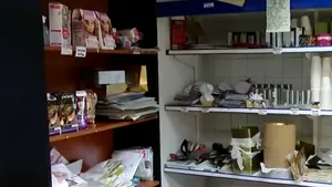 Magazinele sociale funcționează cu SUCCES în România, oferind produse la prețuri simbolice