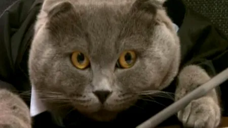 Când s-au angajat nu și-au închipuit că vor avea un așa director. Cum a ajuns un magazin online UNIC în România