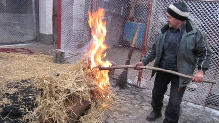 OBICEIURI DE CRĂCIUN. Bun venit în lumea lui Bălășcuță, omul care nu merge la supermarket ca să-și cumpere carne de porc pentru masa de Sărbători