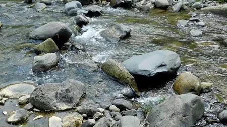 Fratele fostului comandant al IPJ Maramureș, găsit mort în râul Cavnic în ziua în care familia îi anunțase dispariția