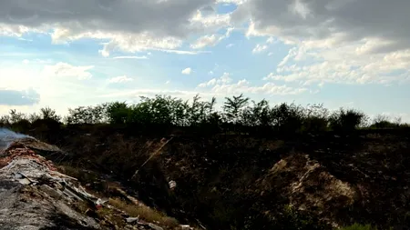 Incendiu puternic la Fetești. Ard 100 de hectare de vegetație uscată și gunoi