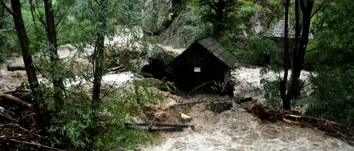 Zeci de gospodării din județul Cluj, inundate în urma ploilor abundente