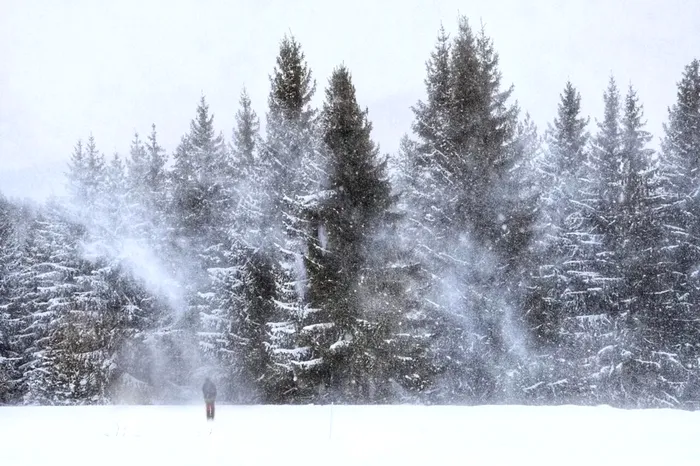 foto ilustrativa: sursa foto: Envato