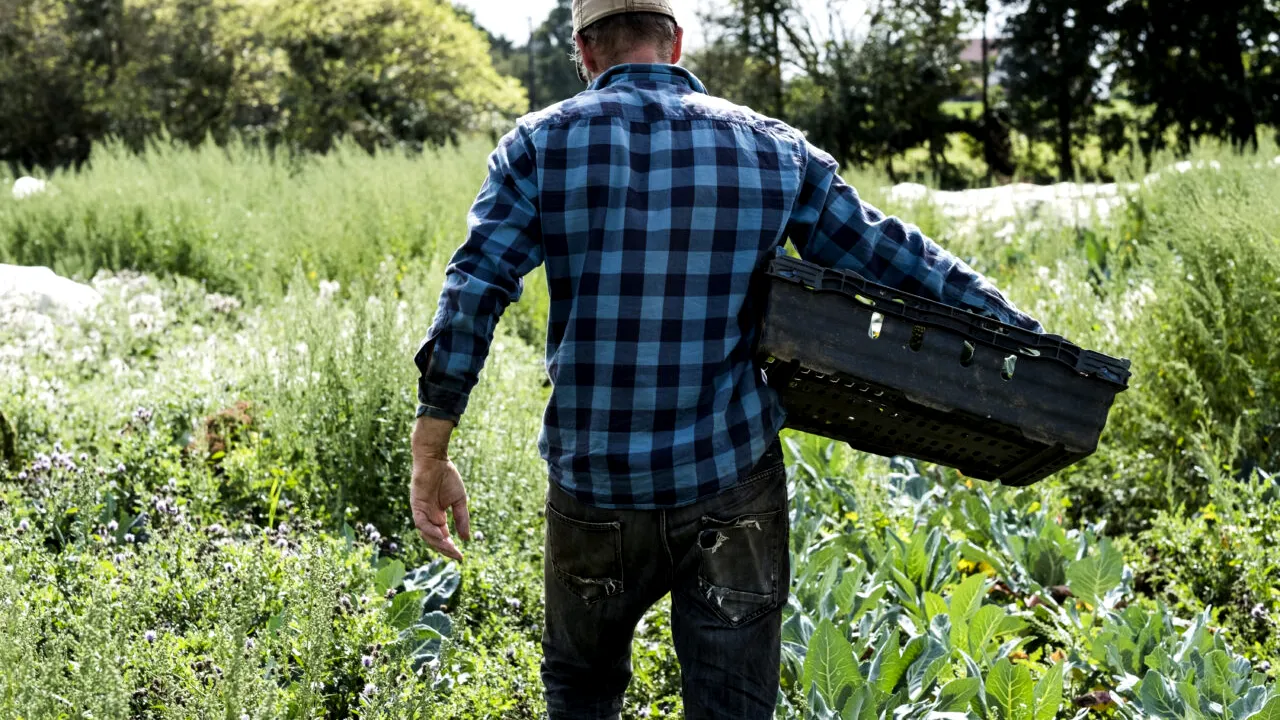 Un fermier român și-a deschis o AFACERE în urmă cu 15 ani, iar acum a dat lovitura. Francezii se bat pe produsele sale