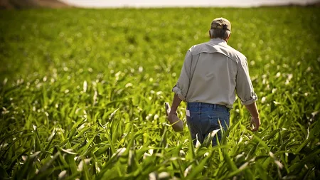 Fermier canadian AMENDAT cu 62.000 de dolari pentru un simplu emoticon. Ce emoji i-a adus „condamnarea”