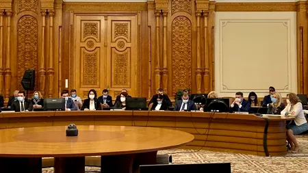 Simona-Maya Teodoroiu, fost judecător CCR: ”Depolitizare nu înseamnă semi-politizare. Audierile în Comisia Juridică au fost o simplă mascaradă!”