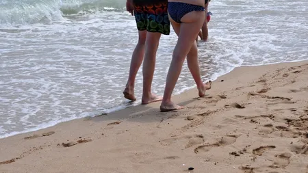 Un pește-vâslă uriaș, cu o lungime de peste patru metri, descoperit pe o plajă din California