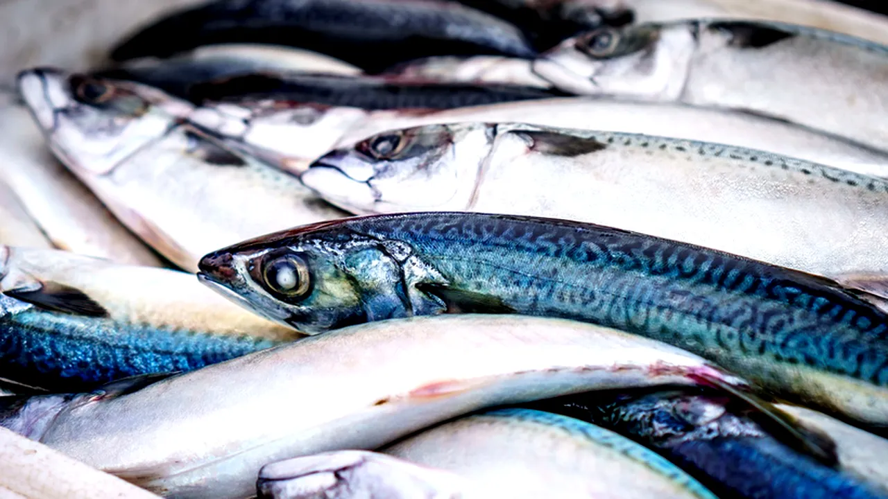 Au fost anunțate REZULTATELE finale ale DSV, în cazul fetiței și a bunicii sale, moarte după ce au mâncat pește. Ce BACTERII le-au fost fatale