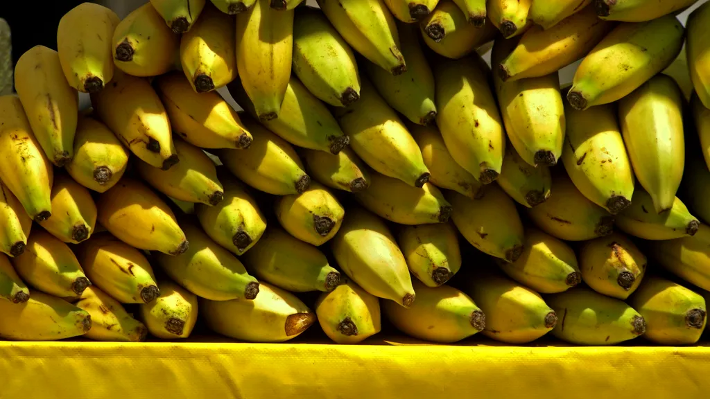 Descoperirea uimitoare a unor angajați Lidl în camionul cu banane: „A sosit tocmai din Costa Rica