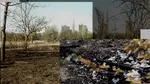 DEZASTRUL din IOR. Cine sunt oamenii care au defrișat 12 ha pentru „târguri și balroom-uri”, după o retrocedare controversată