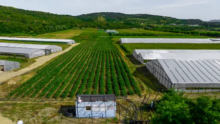 Noi fonduri pentru investițiile în fermele mici. Cum pot beneficia fermierii de finanțări nerambursabile de până la 50.000 de euro