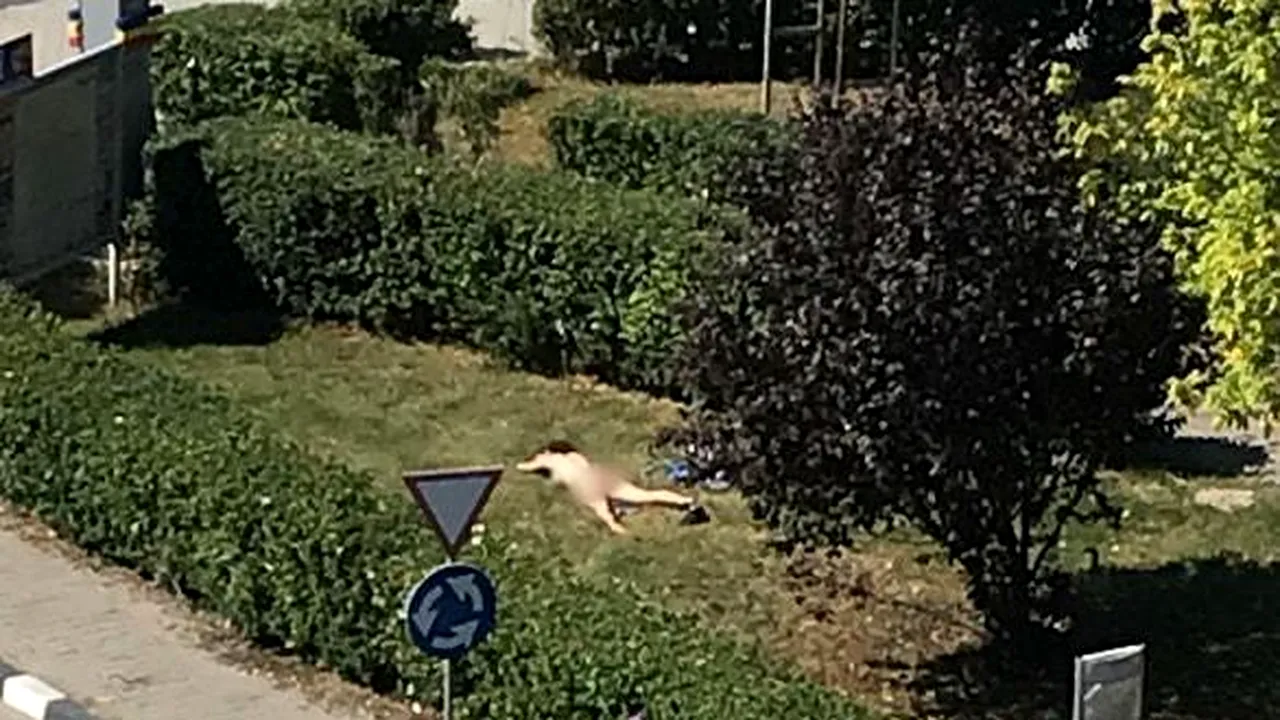 Dorea să se BRONZEZE. Amendată după ce a făcut PLAJĂ NUD în fața Direcției de Finanțe Giurgiu