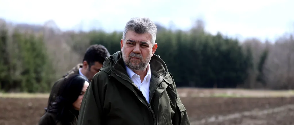 Marcel Ciolacu propune ca tăierile ilegale de păduri să fie pedepsite la fel de dur precum CORUPȚIA