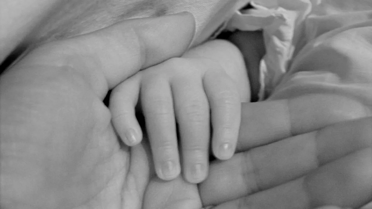 Tânăra care a născut în toaleta unei benzinării din Satu Mare şi apoi a aruncat la gunoi pruncul a fost condamnată