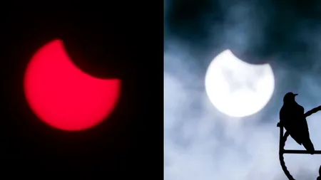 În ce zonă din România s-a văzut cel mai bine ECLIPSA parțială de Soare de sâmbătă. Imagini virale cu fenomenul astronomic