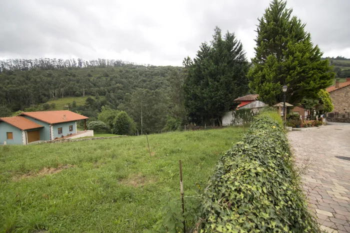 foto ilustrativa; sursa foto: Envato