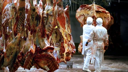 Președintele Romalimenta, despre carnea de cal descoperită de britanici în lasagna:  