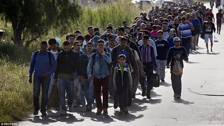 Germania aștepta anul acesta 800.000 de azilanți, însă numărul real va fi mult mai mare