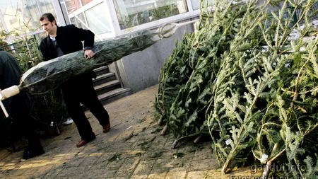 VREMEA. A fost cel mai cald Ajun din ultimii 50 de ani