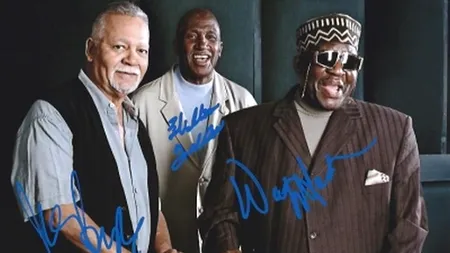 Un celebru muzician a murit la vârsta de 75 de ani