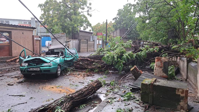 Mașină distrusă de un copac căzut în timpul furtunii din București - Foto: ISU B-IF