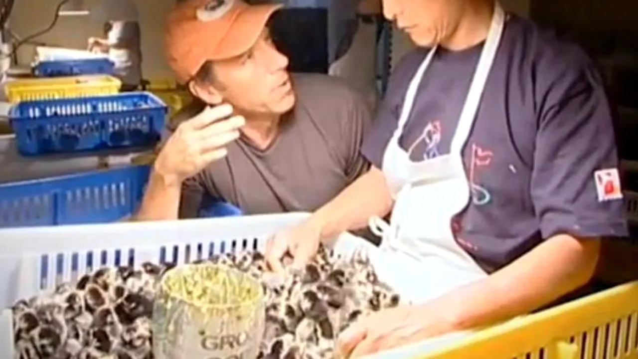 Una dintre cele mai ciudate meserii din lume, plătită cu 60.000 de dolari pe an. „Avem puțini candidați pentru acest JOB și iată care este motivul