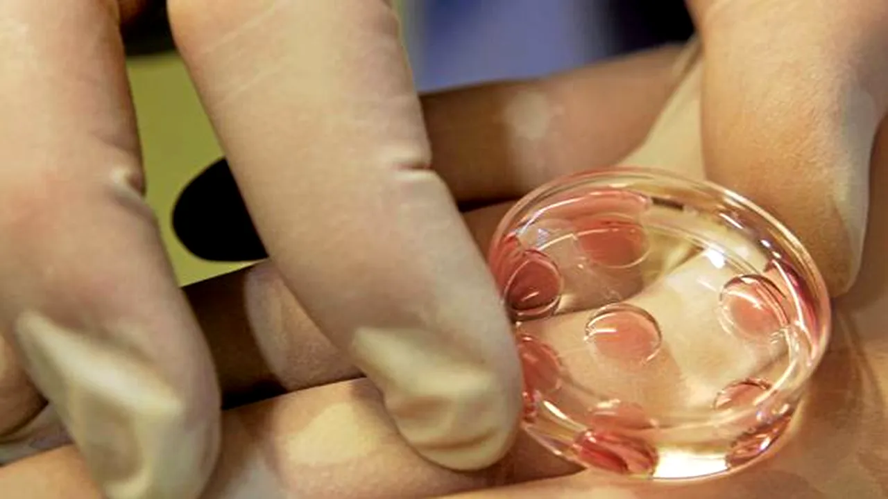 Celule sușă, utilizate în premieră pentru reconstruirea unei tiroide