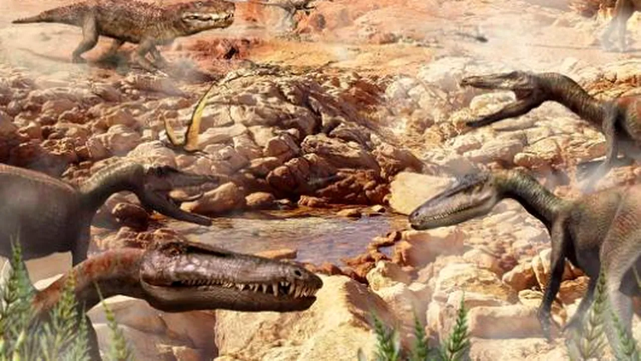 Descoperire de senzație: cum arată mamiferul care a supraviețuit evenimentelor în urma cărora dinozaurii au dispărut