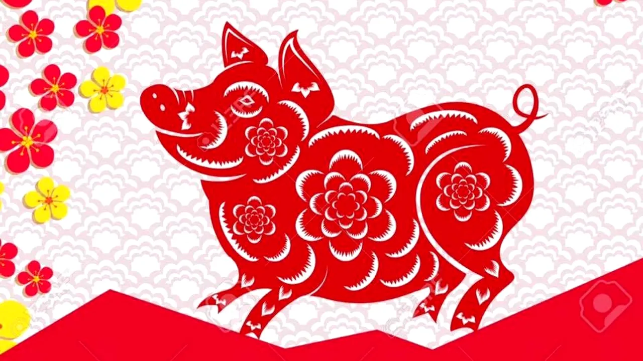 Anul Nou CHINEZESC, sub semnul PORCULUI de Pământ. Care sunt numerele NOROCOASE pentru cei născuți sub acest semn și cine va avea GHINION tot anul
