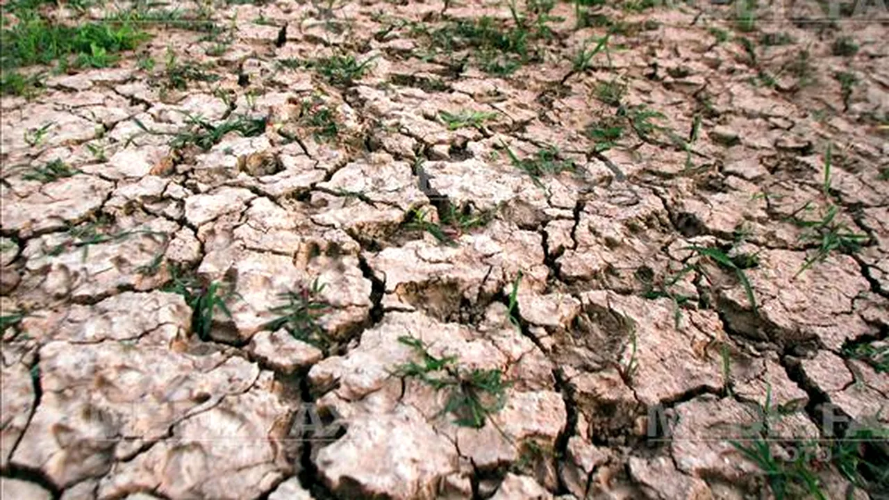 Agricultorii, nemulțumiți de durata evaluării pagubelor produse de secetă